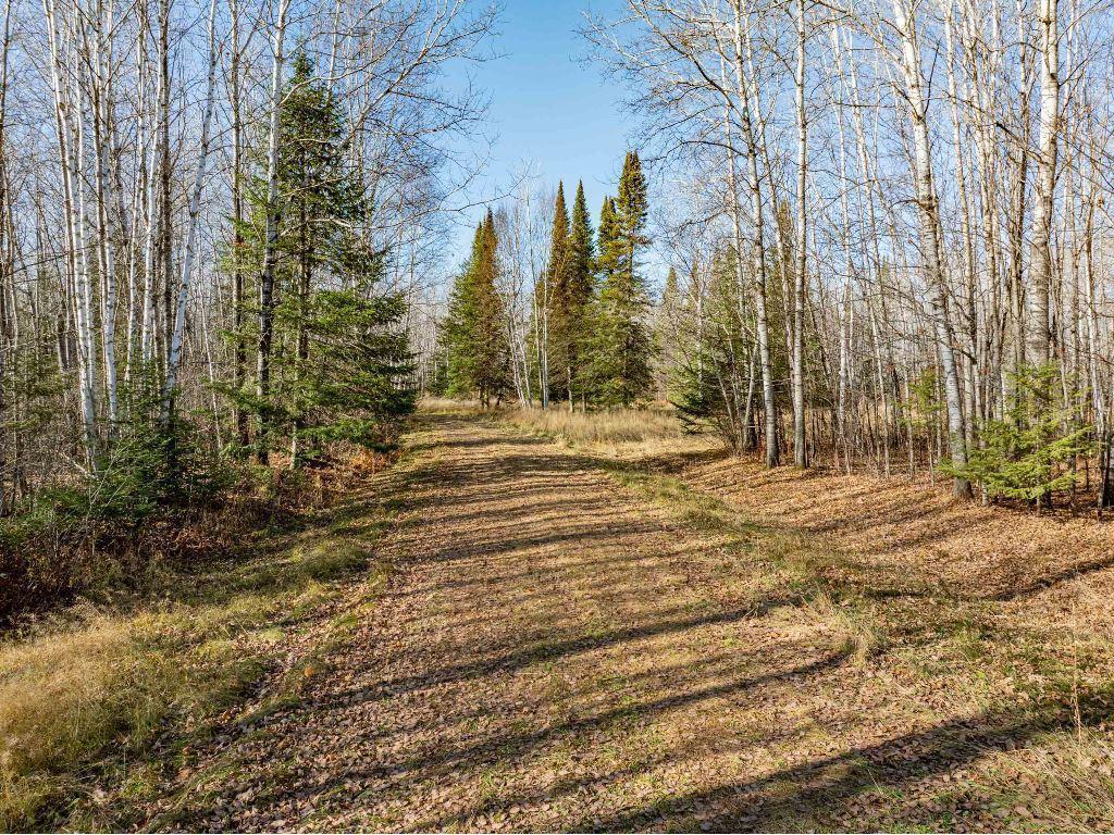 TBD County Rd 60 Grand Rapids MN 55744 6633113 image62