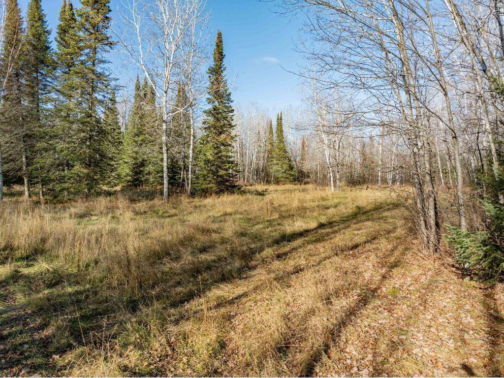 TBD County Rd 60 Grand Rapids MN 55744 6633113 image64