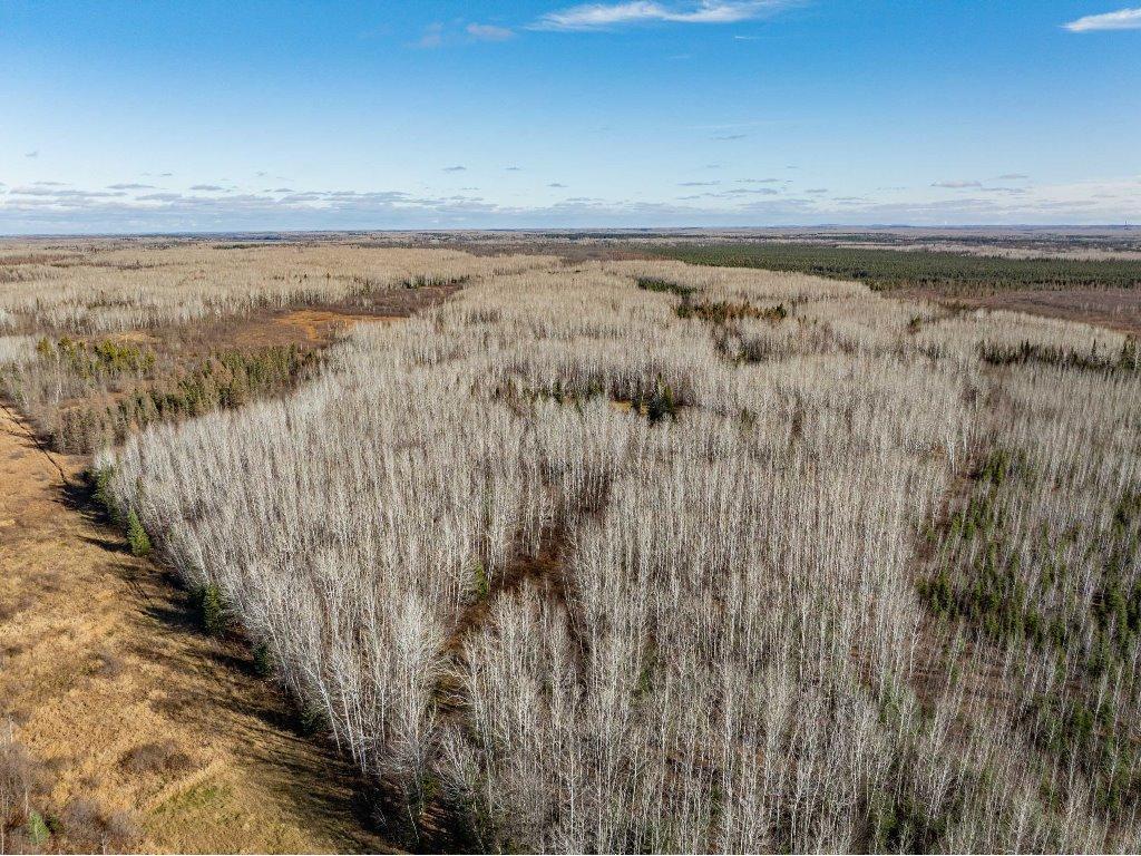 TBD County Rd 60 Grand Rapids MN 55744 6633113 image67