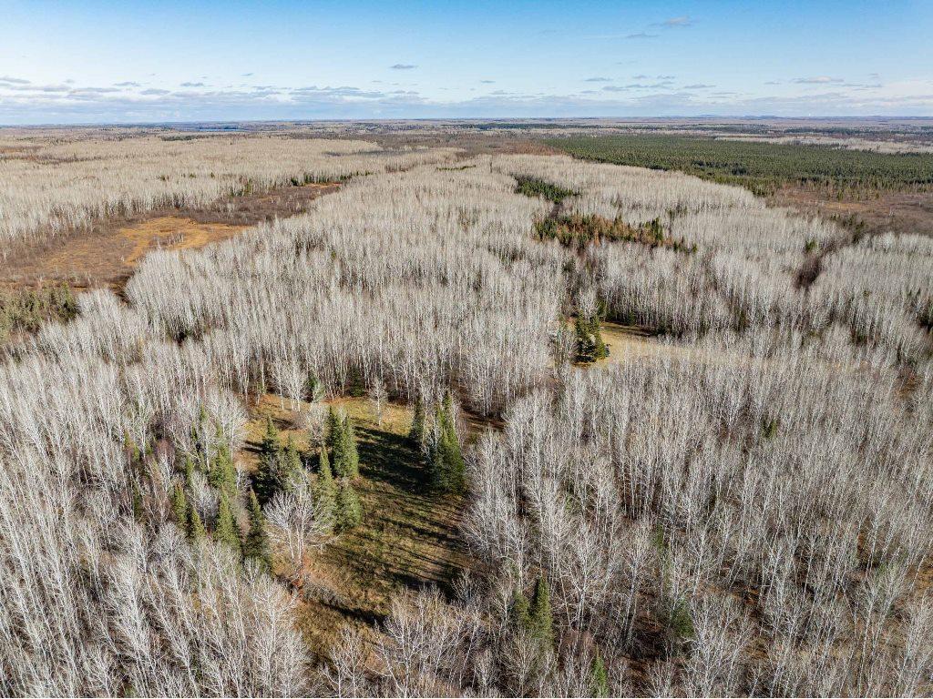TBD County Rd 60 Grand Rapids MN 55744 6633113 image70