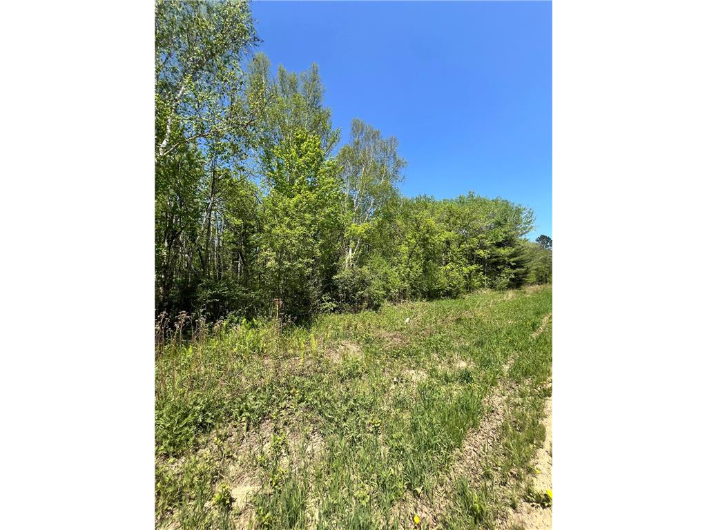 TBD County Rd 67 Harris Twp MN 55744 7082749 image11