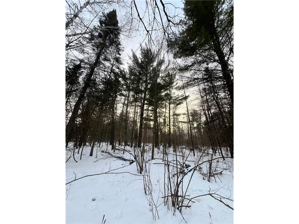 TBD County Rd 67 Harris Twp MN 55744 7082749 image15
