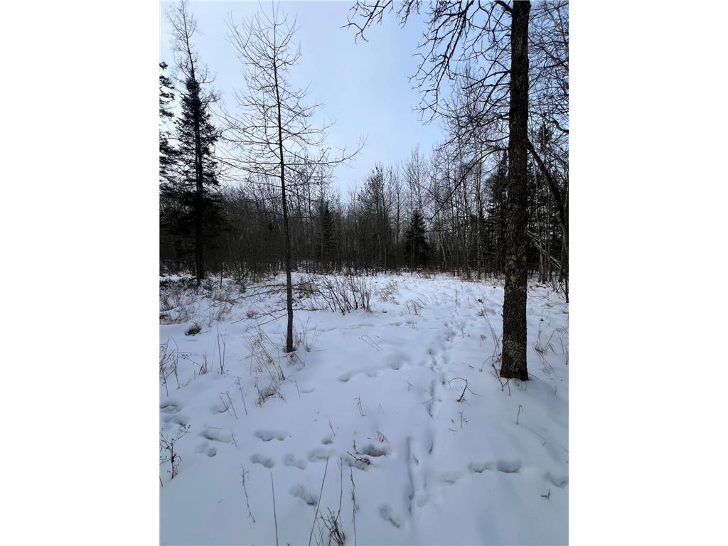 TBD County Rd 67 Harris Twp MN 55744 7082749 image16