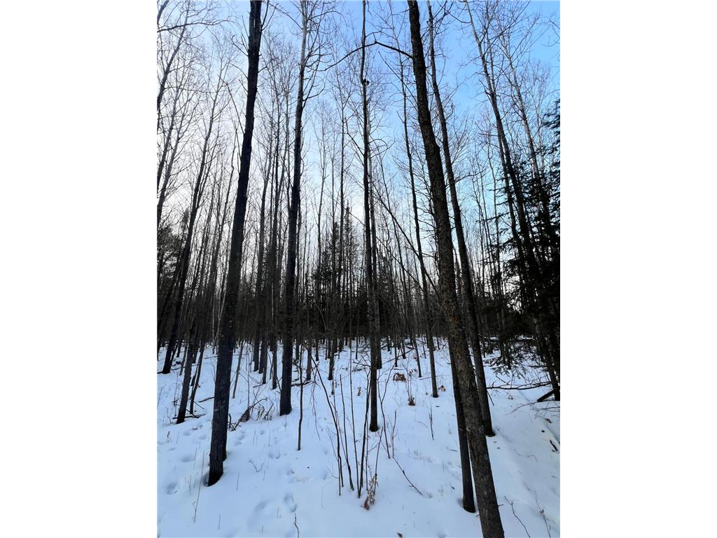 TBD County Rd 67 Harris Twp MN 55744 7082749 image17
