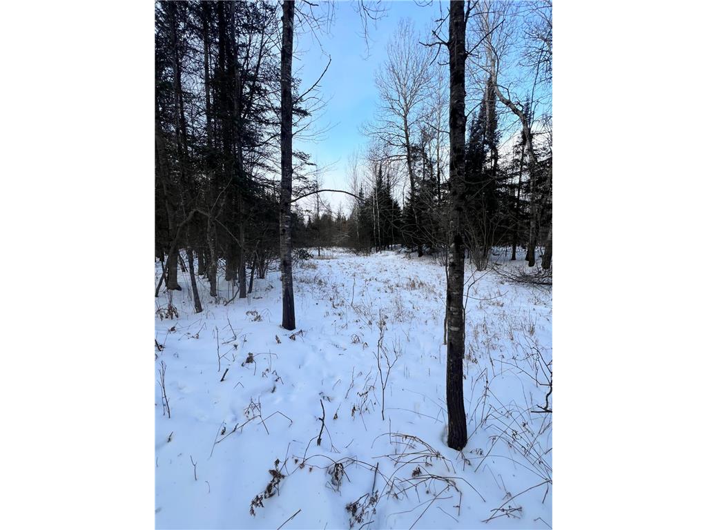 TBD County Rd 67 Harris Twp MN 55744 7082749 image18