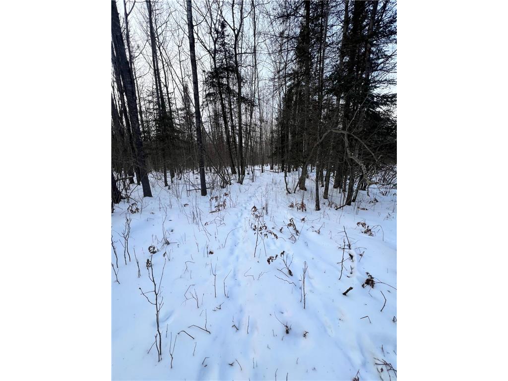 TBD County Rd 67 Harris Twp MN 55744 7082749 image19