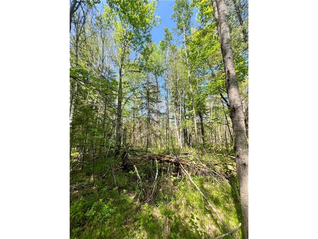 TBD County Rd 67 Harris Twp MN 55744 7082749 image2