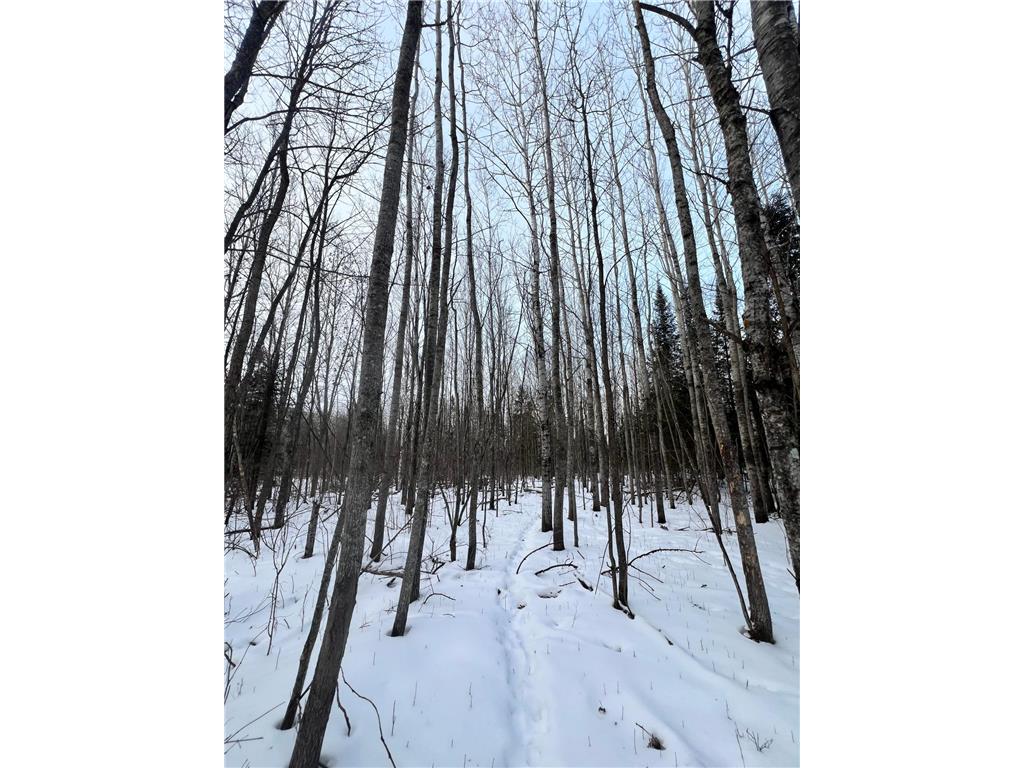 TBD County Rd 67 Harris Twp MN 55744 7082749 image22