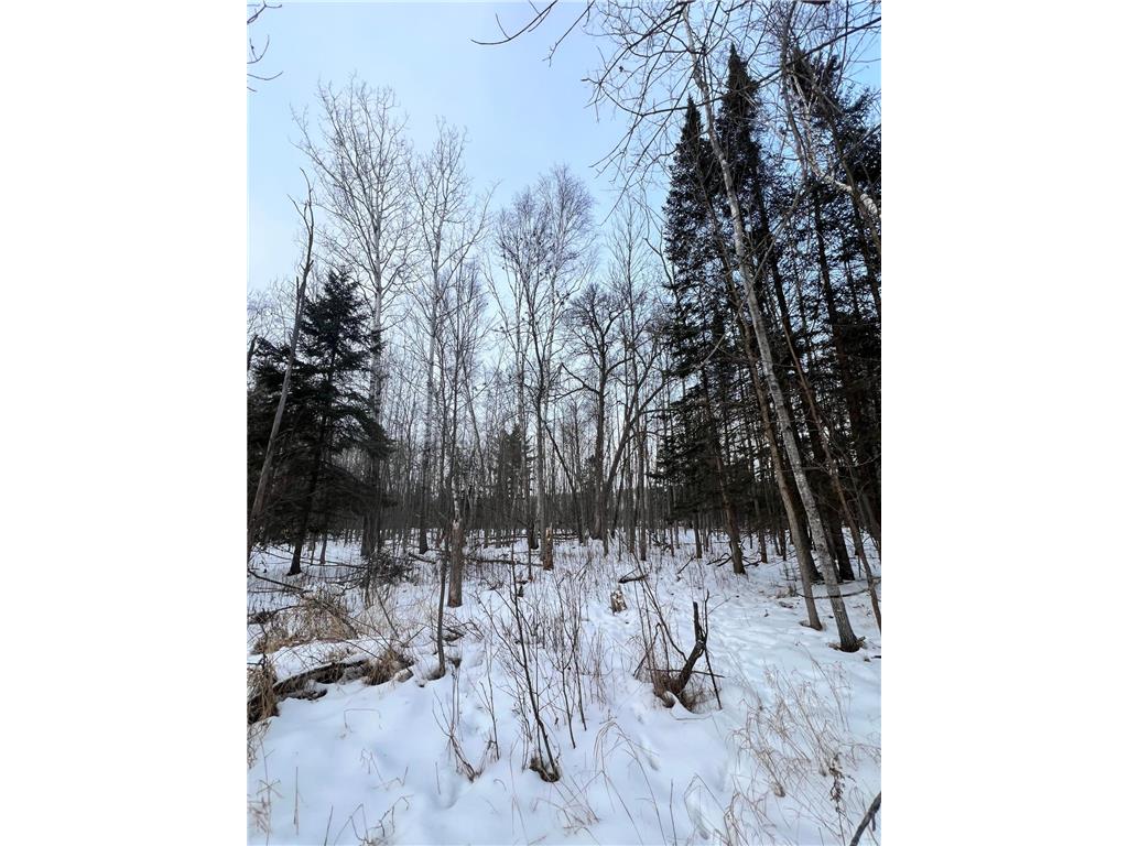 TBD County Rd 67 Harris Twp MN 55744 7082749 image23