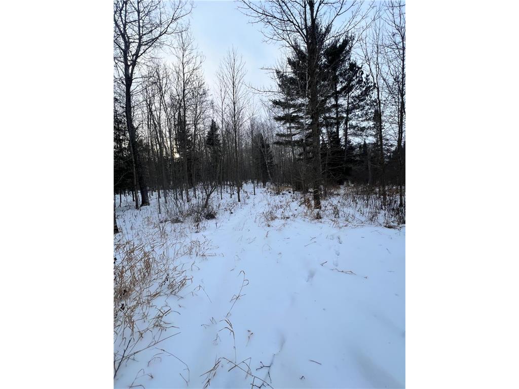 TBD County Rd 67 Harris Twp MN 55744 7082749 image24