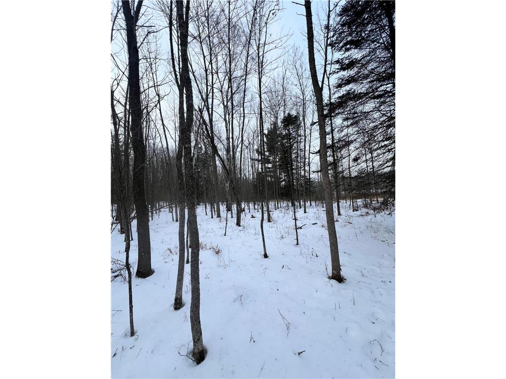 TBD County Rd 67 Harris Twp MN 55744 7082749 image25