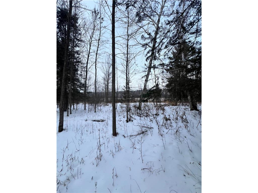 TBD County Rd 67 Harris Twp MN 55744 7082749 image26