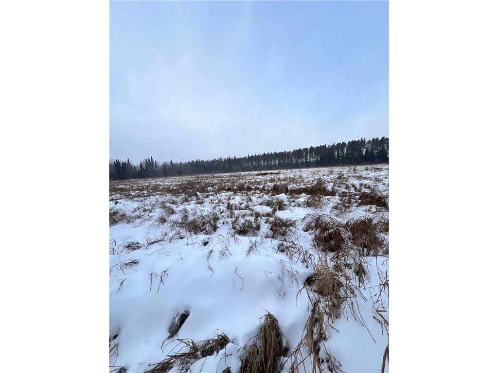 TBD County Rd 67 Harris Twp MN 55744 7082749 image28