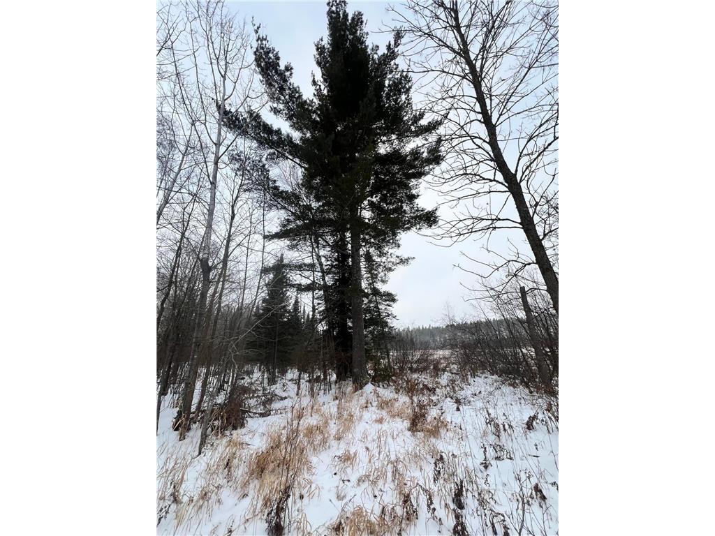 TBD County Rd 67 Harris Twp MN 55744 7082749 image29