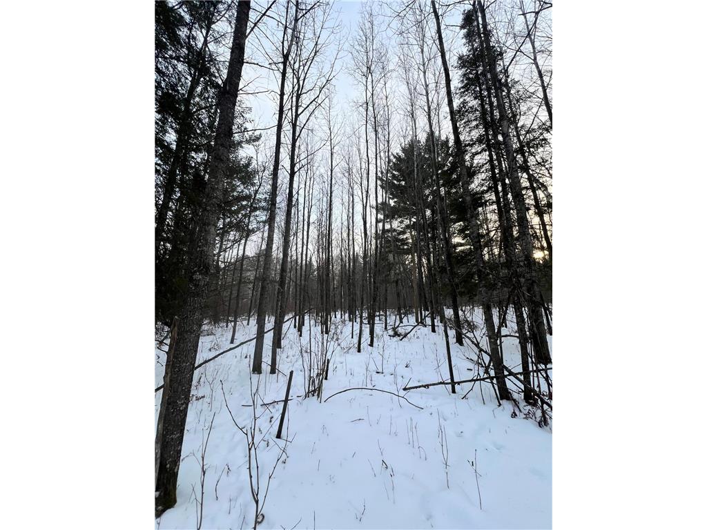 TBD County Rd 67 Harris Twp MN 55744 7082749 image30