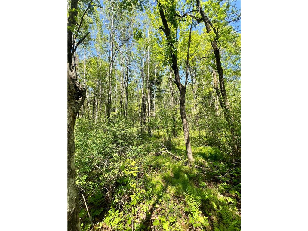 TBD County Rd 67 Harris Twp MN 55744 7082749 image6