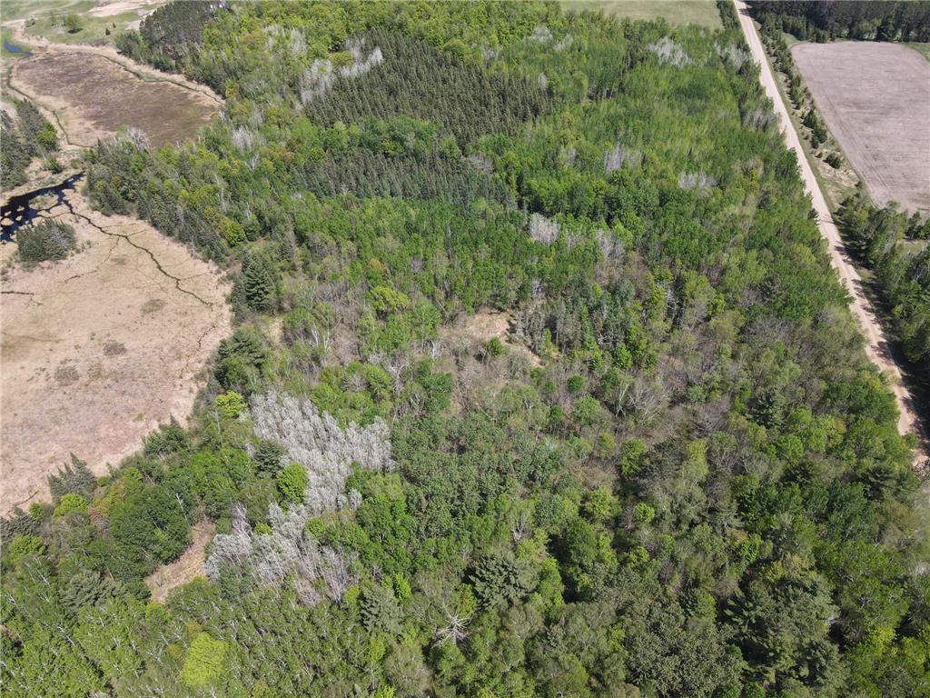 TBD County Rd 67 Harris Twp MN 55744 7082749 image7