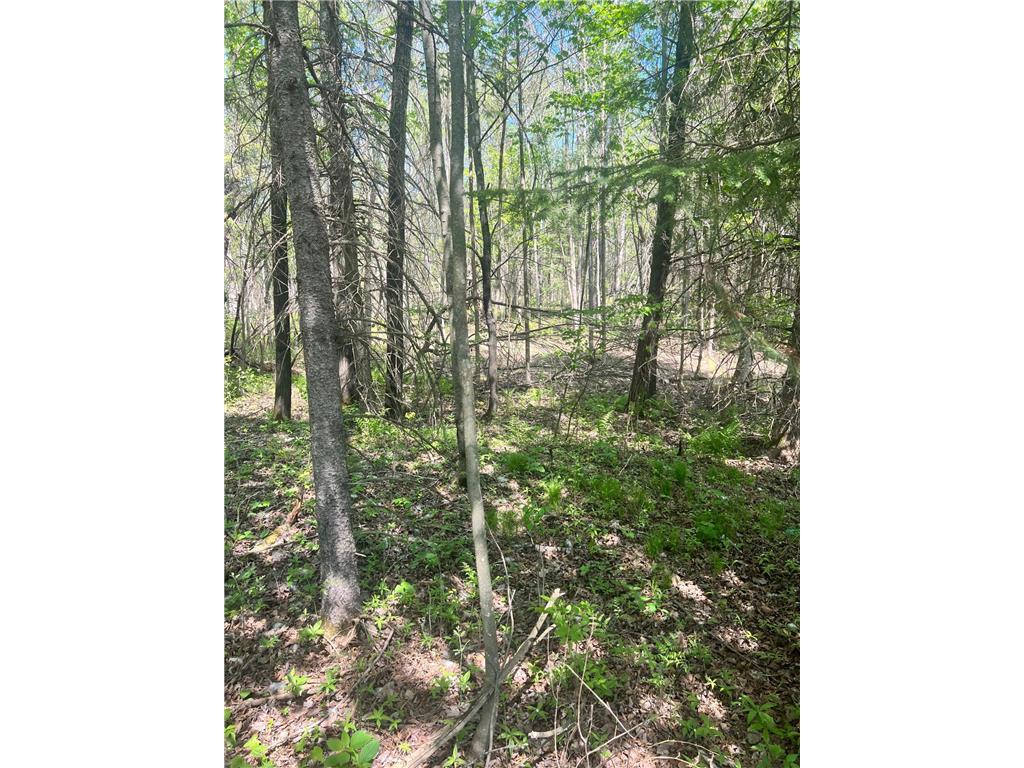 TBD County Rd 67 Harris Twp MN 55744 7082749 image8