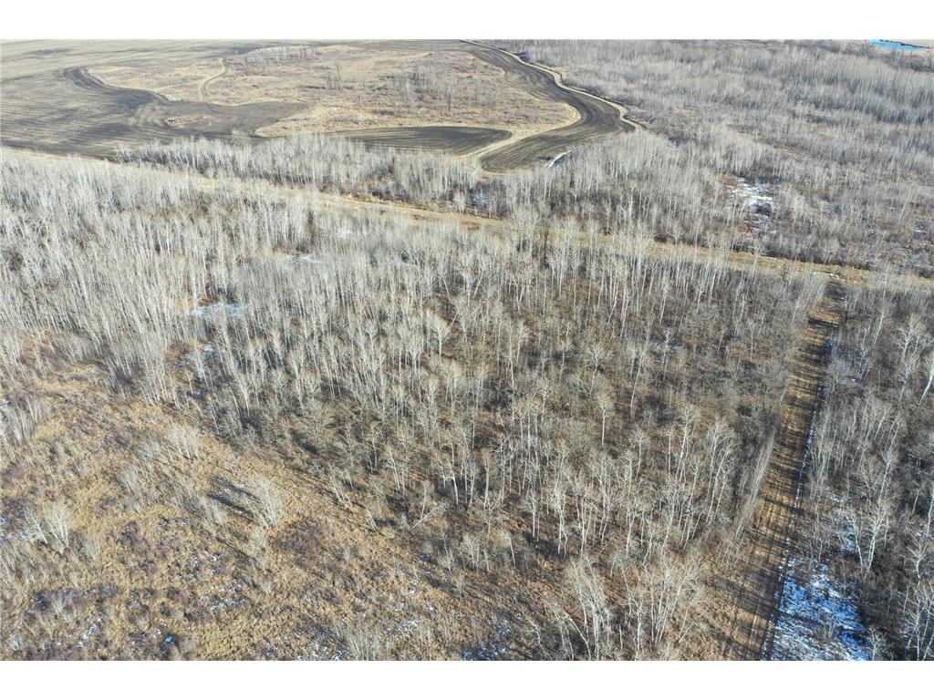 TBD County Rd 7 Arveson Twp MN 56732 6488783 image1
