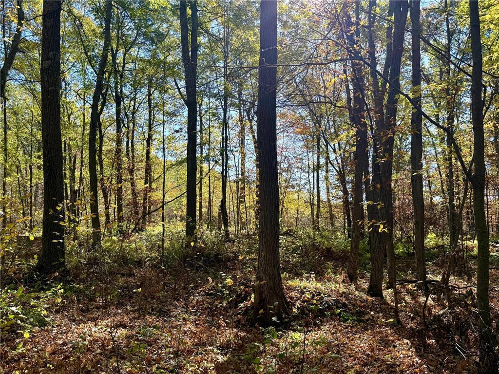 TBD County Rd. 8 Brainerd MN 56401 6806517 image1