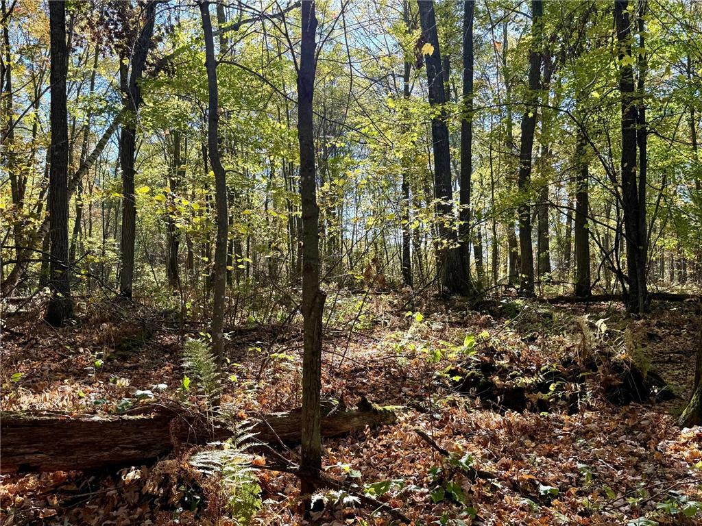 TBD County Rd. 8 Brainerd MN 56401 6806517 image10