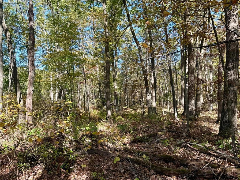 TBD County Rd. 8 Brainerd MN 56401 6806517 image11