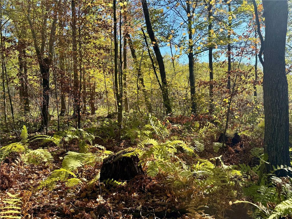 TBD County Rd. 8 Brainerd MN 56401 6806517 image2