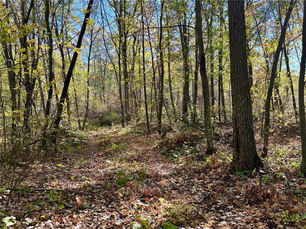 TBD County Rd. 8 Brainerd MN 56401 6806517 image3