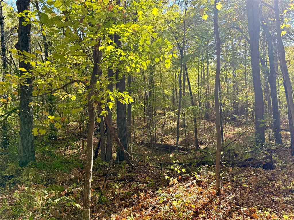 TBD County Rd. 8 Brainerd MN 56401 6806517 image4