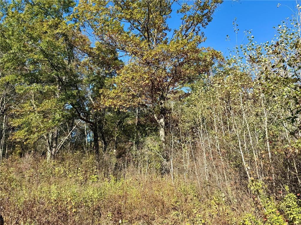 TBD County Rd. 8 Brainerd MN 56401 6806517 image5