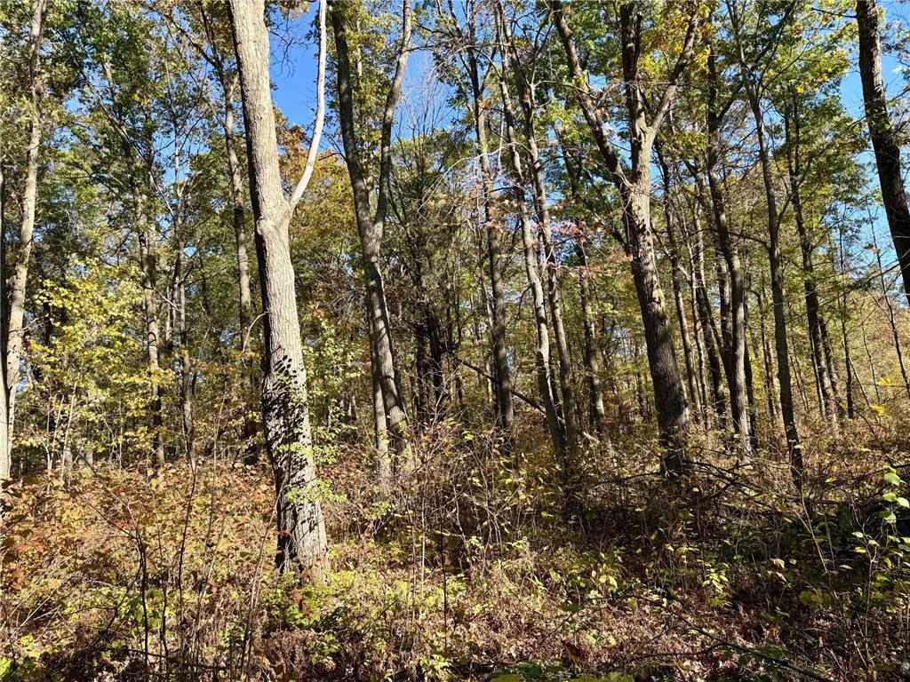 TBD County Rd. 8 Brainerd MN 56401 6806517 image6