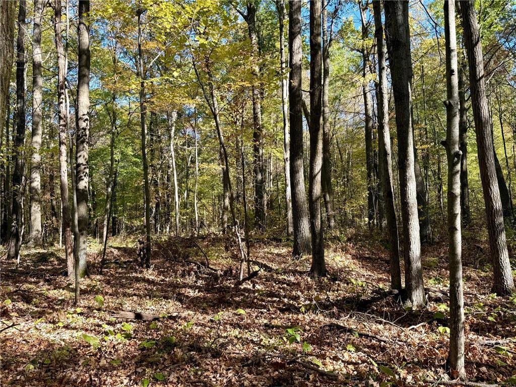 TBD County Rd. 8 Brainerd MN 56401 6806517 image8