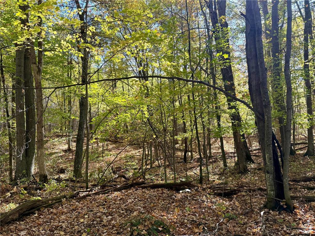 TBD County Rd. 8 Brainerd MN 56401 6806517 image9