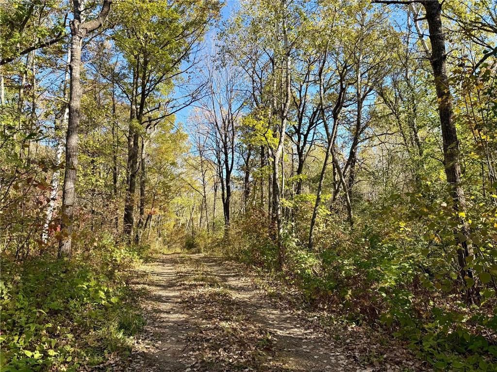 TBD County Rd.8 Brainerd MN 56401 6806519 image1