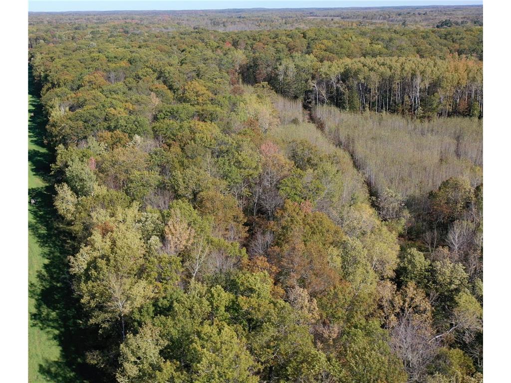 TBD County Rd.8 Brainerd MN 56401 6806519 image10