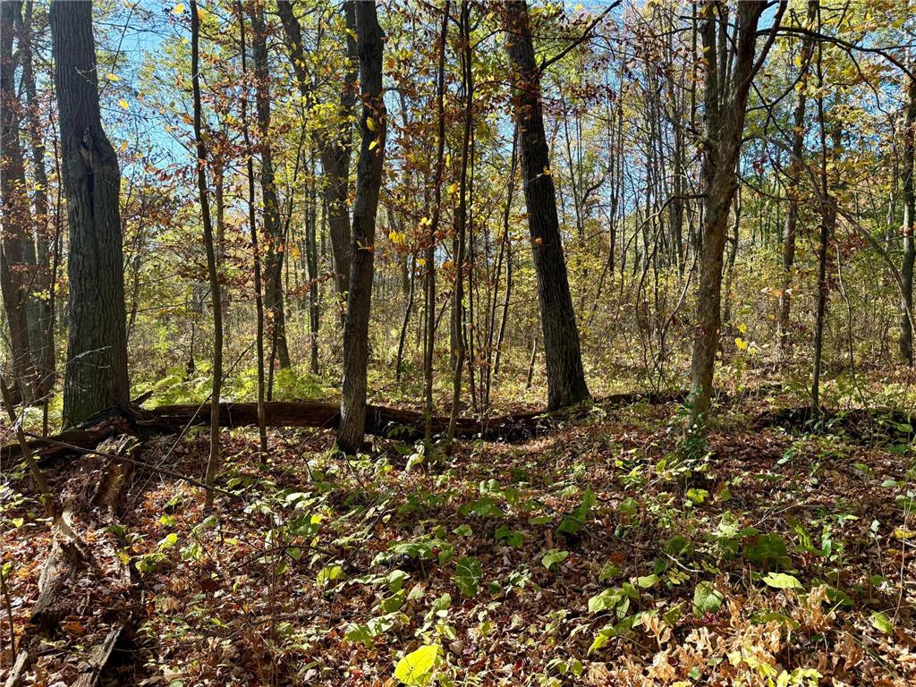 TBD County Rd.8 Brainerd MN 56401 6806519 image2