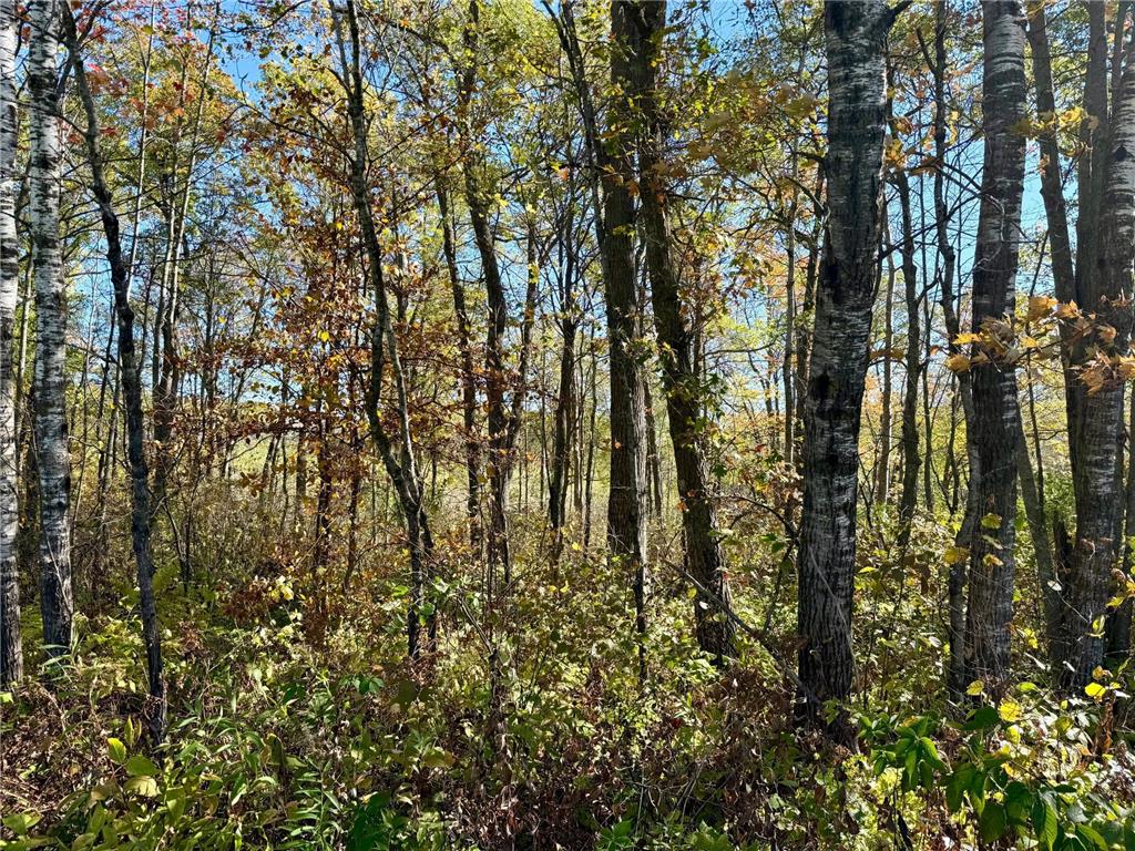 TBD County Rd.8 Brainerd MN 56401 6806519 image3