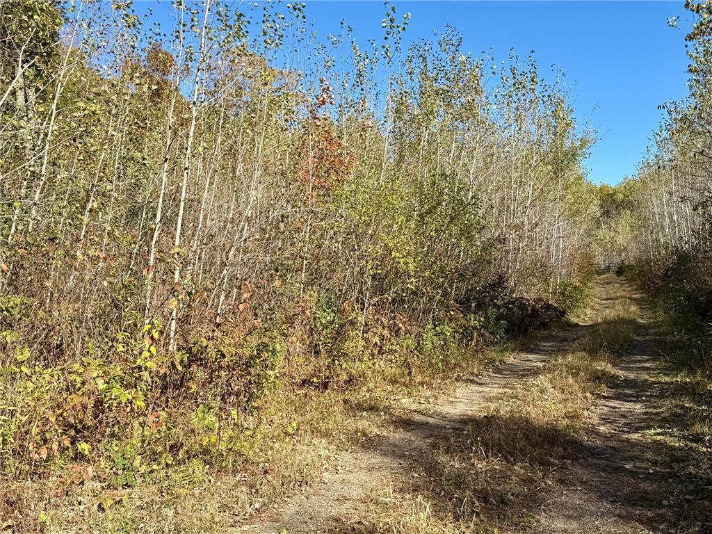 TBD County Rd.8 Brainerd MN 56401 6806519 image4