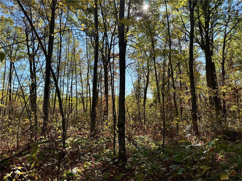 TBD County Rd.8 Brainerd MN 56401 6806519 image5