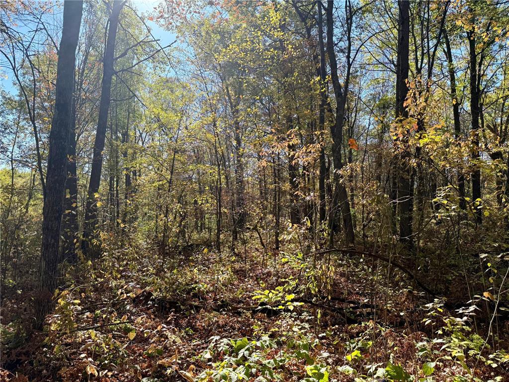 TBD County Rd.8 Brainerd MN 56401 6806519 image6