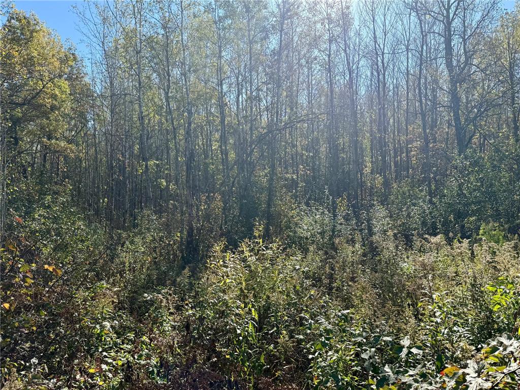 TBD County Rd.8 Brainerd MN 56401 6806519 image7