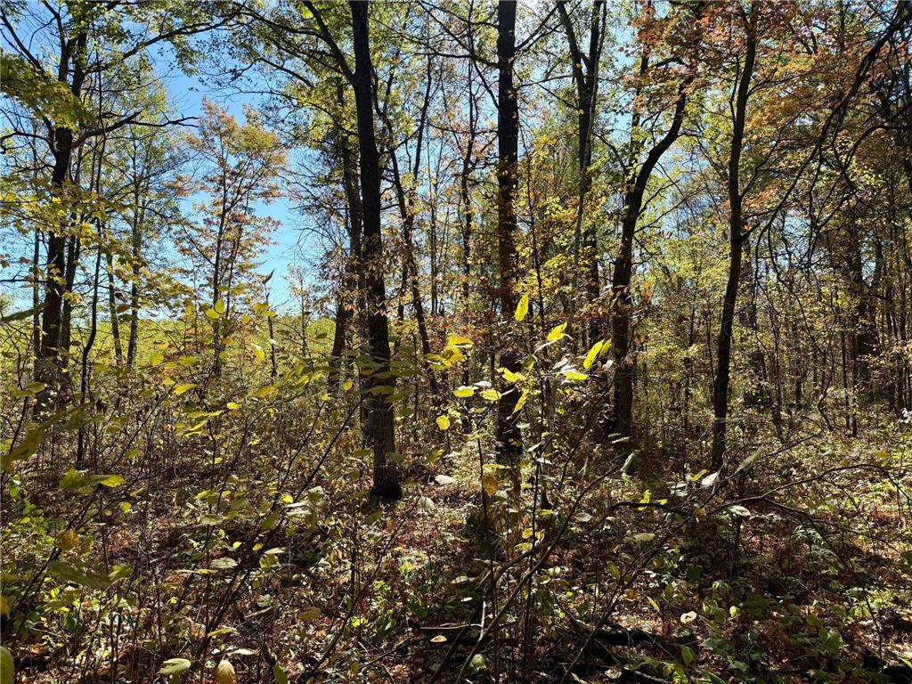 TBD County Rd.8 Brainerd MN 56401 6806519 image8