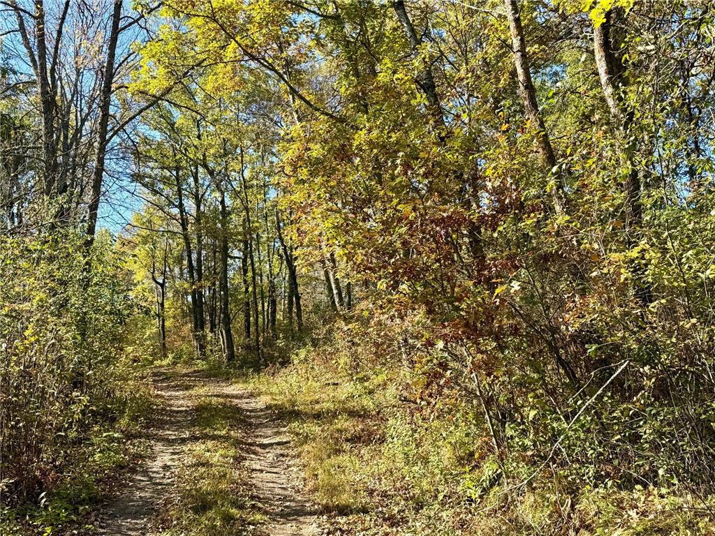 TBD County Rd.8 Brainerd MN 56401 6806519 image9