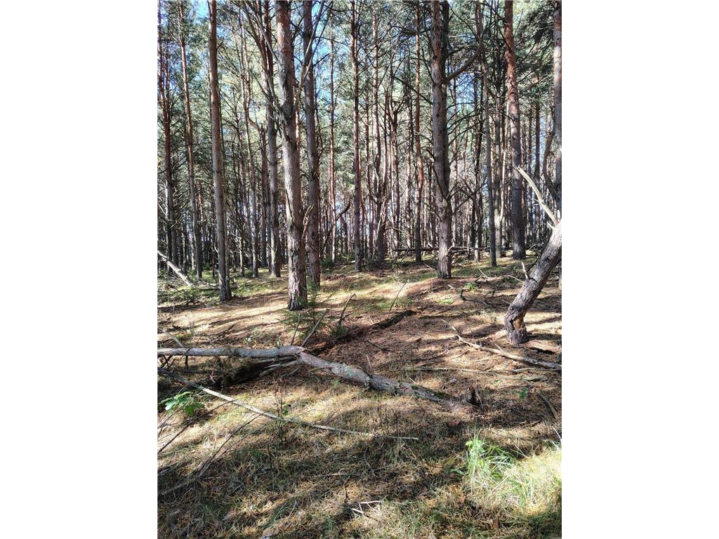 TBD County Rd 87 Badoura Twp MN 56467 6812036 image1