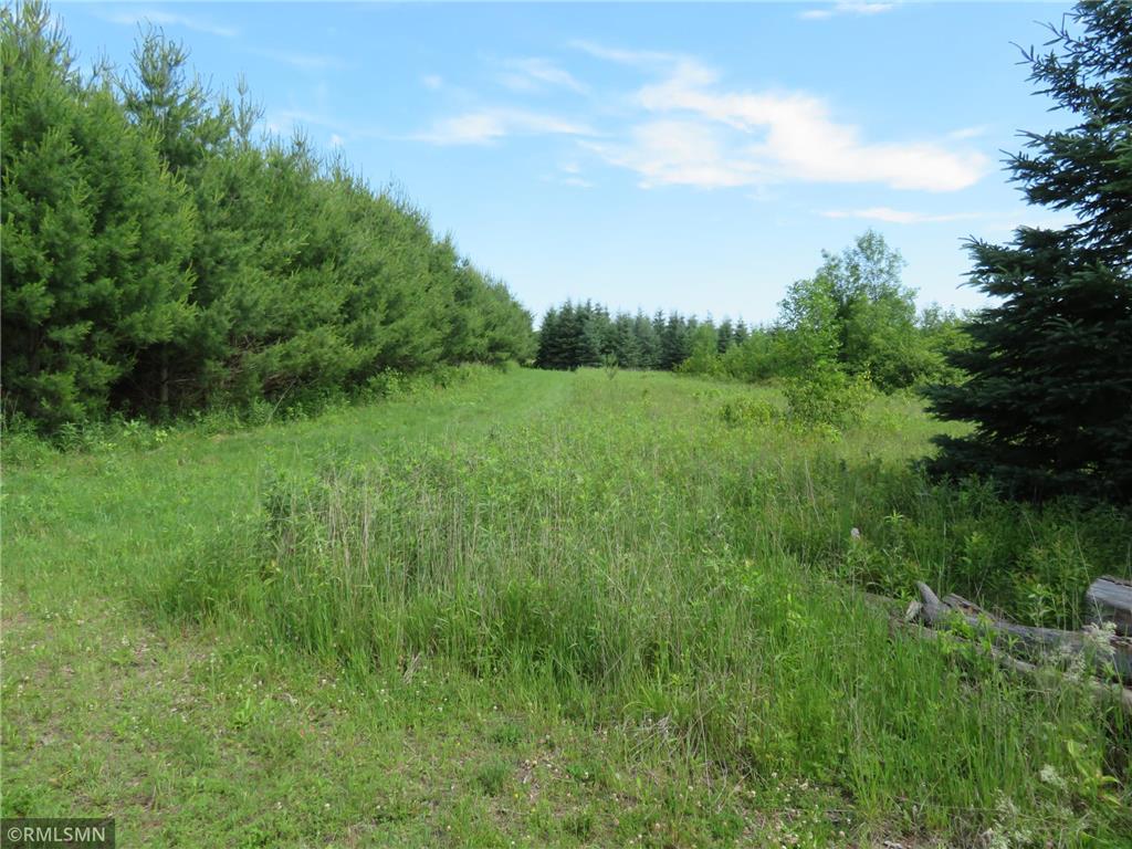 TBD County Rd E Apple River Twp WI 54810 6746013 image1