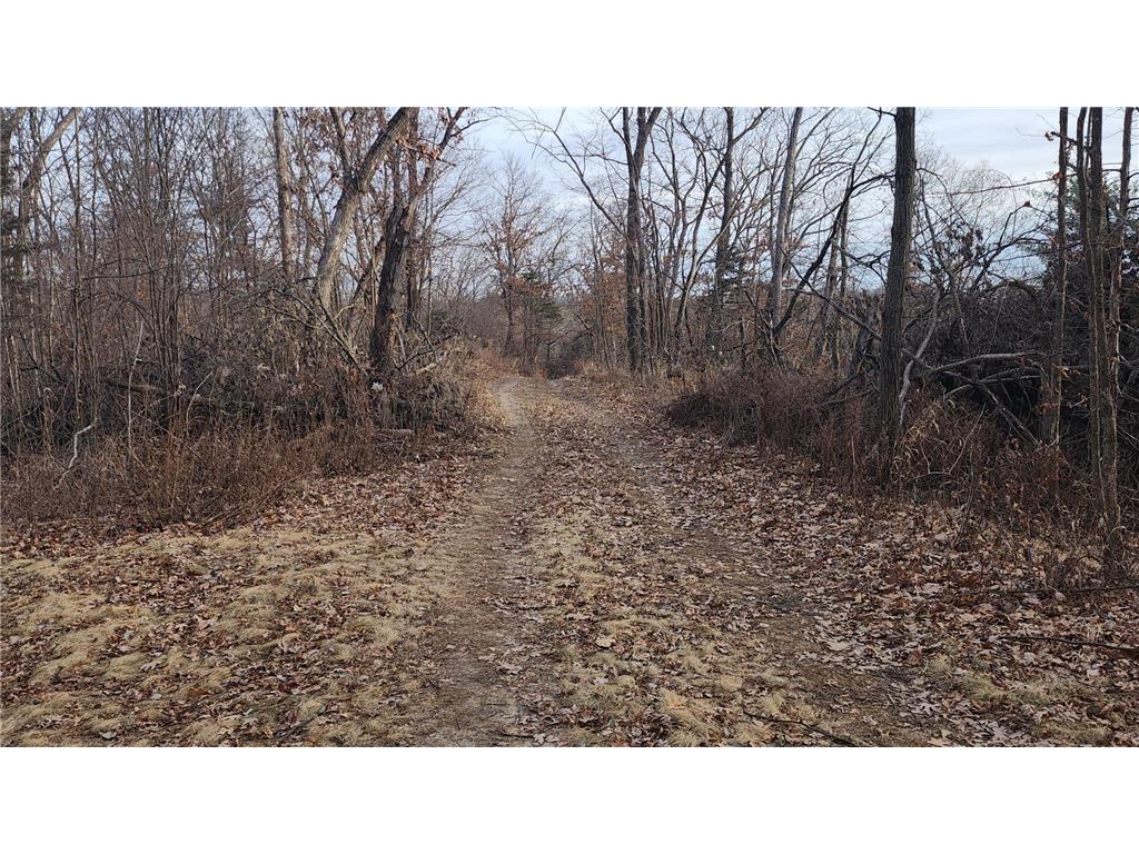 TBD County Road 1 SE Pleasant Grove Twp MN 55976 - Root River - North Branch 6778414 image11