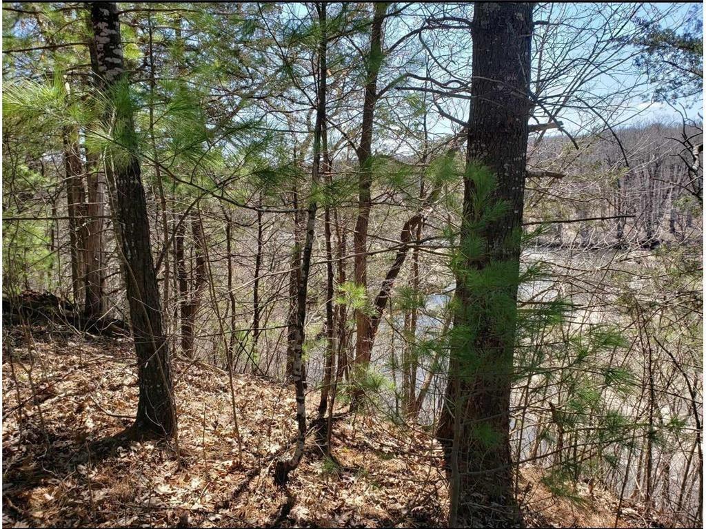 TBD County Road 1 SE Pleasant Grove Twp MN 55976 - Root River - North Branch 6778414 image8