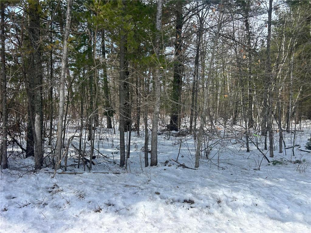 TBD County Road 1 Timothy Twp MN 56474 7052340 image1