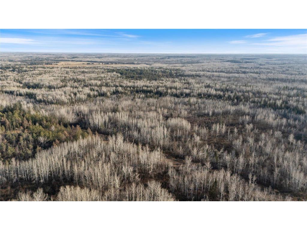 TBD County Road 103 Barnum MN 55707 6819759 image1