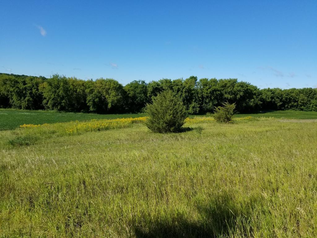 TBD County Road 115 Saint Augusta MN 56301 6458834 image1